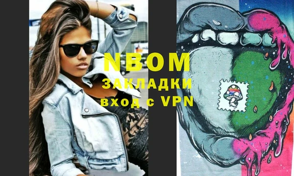 индика Алзамай