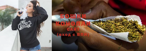 крисы Аркадак