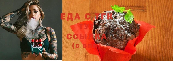 крисы Аркадак