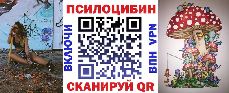 Галлюциногенные грибы Psilocybine cubensis  Сураж 
