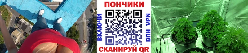 МАРИХУАНА THC 21% купить наркотики сайты Сураж